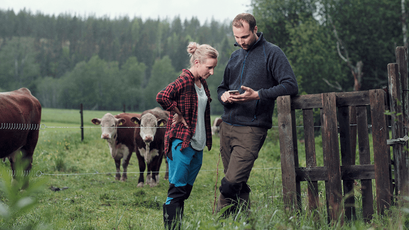Hva vi kan tilby landbruk